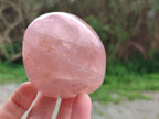 Polished Rose Quartz Standing Free Forms x 3 From Madagascar - Toprock Gemstones and Minerals 