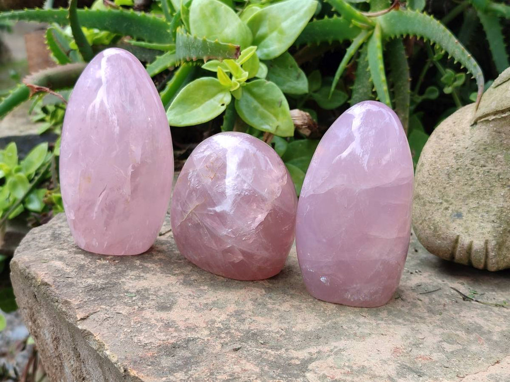 Polished Rose Quartz Standing Free Forms x 3 From Madagascar - Toprock Gemstones and Minerals 