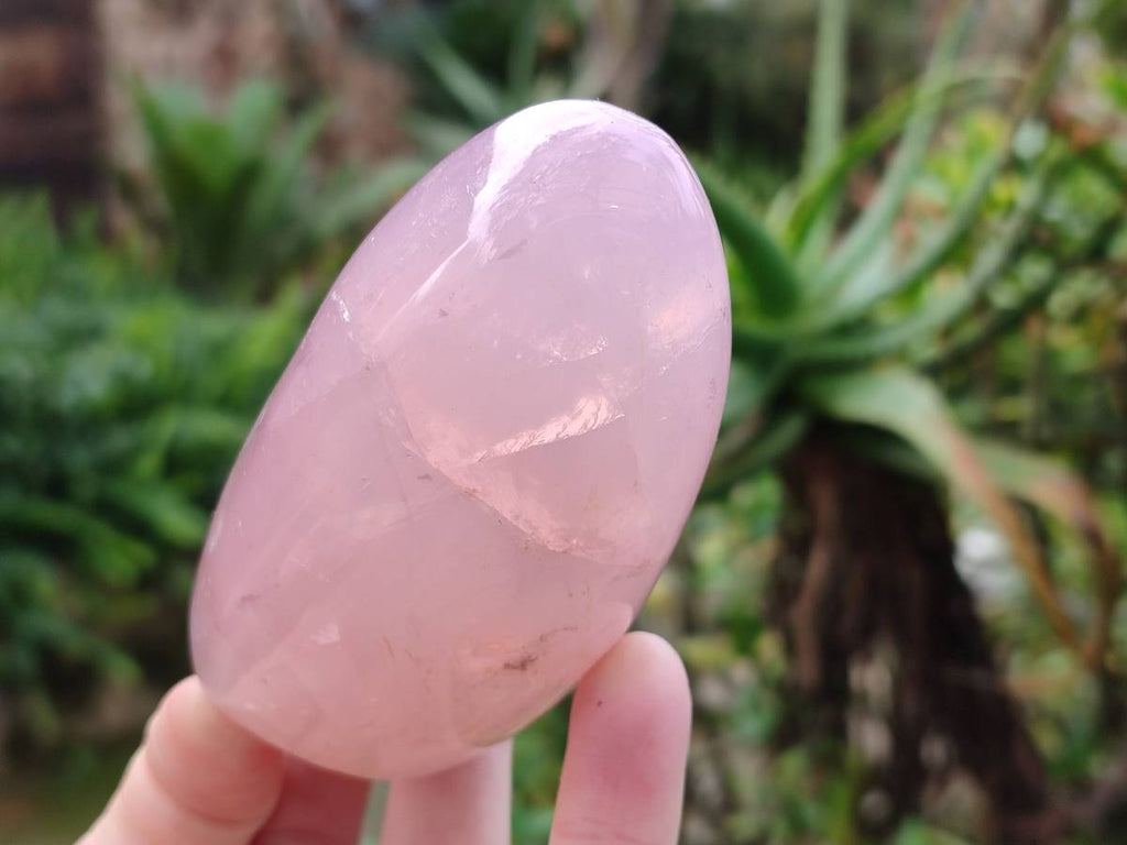 Polished Rose Quartz Standing Free Forms x 3 From Madagascar - Toprock Gemstones and Minerals 