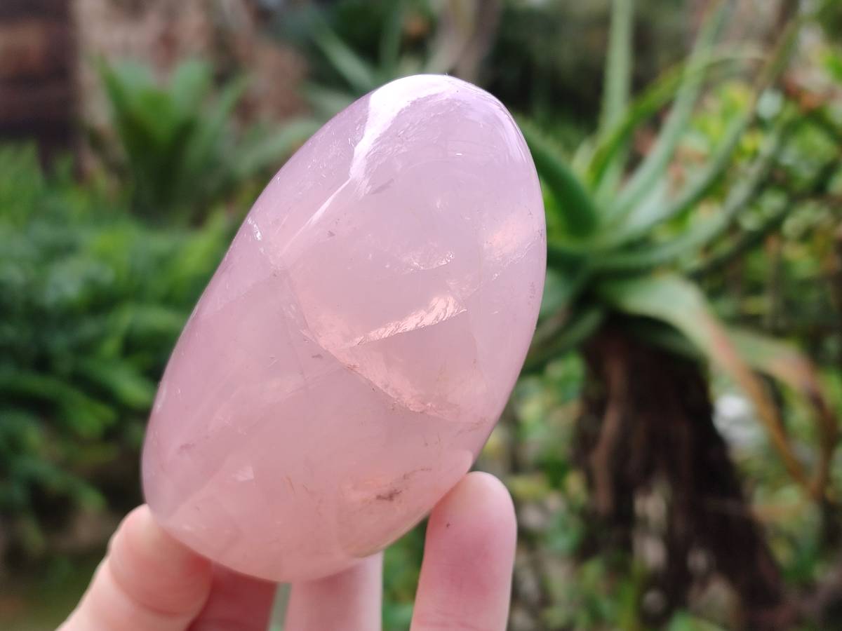 Polished Rose Quartz Standing Free Forms x 3 From Madagascar - Toprock Gemstones and Minerals 