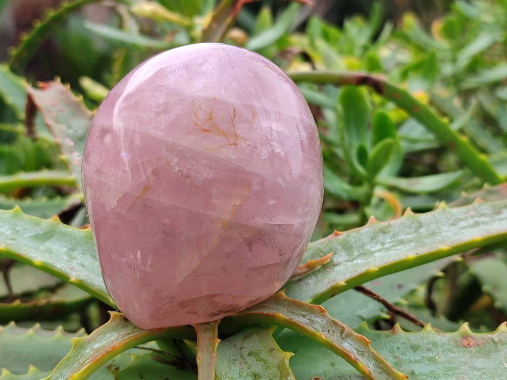 Polished Rose Quartz Standing Free Forms x 3 From Madagascar - Toprock Gemstones and Minerals 