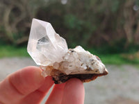 Natural Quartz Matrix Specimens x 27 From Brandberg, Namibia - Toprock Gemstones and Minerals 