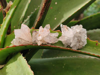 Natural Quartz Matrix Specimens x 27 From Brandberg, Namibia - Toprock Gemstones and Minerals 