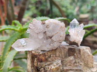 Natural Quartz Matrix Specimens x 27 From Brandberg, Namibia - Toprock Gemstones and Minerals 