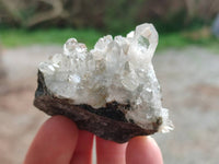 Natural Quartz Matrix Specimens x 27 From Brandberg, Namibia - Toprock Gemstones and Minerals 