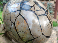 Polished Septerye Sauvage Dragons Egg x 1 From Madagascar - Toprock Gemstones and Minerals 