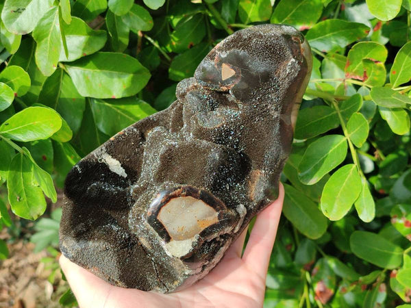 Polished Septerye Sauvage Dragons Egg x 1 From Madagascar - Toprock Gemstones and Minerals 