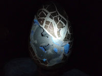 Polished Septerye Sauvage Dragons Egg x 1 From Madagascar - Toprock Gemstones and Minerals 