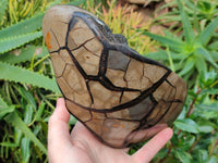 Polished Septerye Sauvage Dragons Egg x 1 From Madagascar - Toprock Gemstones and Minerals 