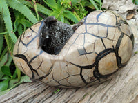 Polished Septerye Sauvage Dragons Egg x 1 From Madagascar - Toprock Gemstones and Minerals 