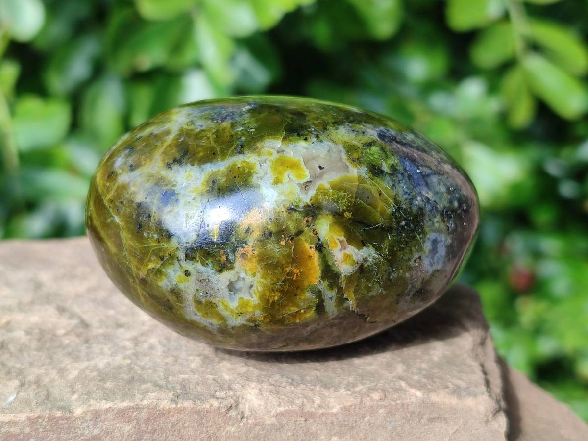 Polished Green Opal Palm Stones x 6 From Madagascar - Toprock Gemstones and Minerals 