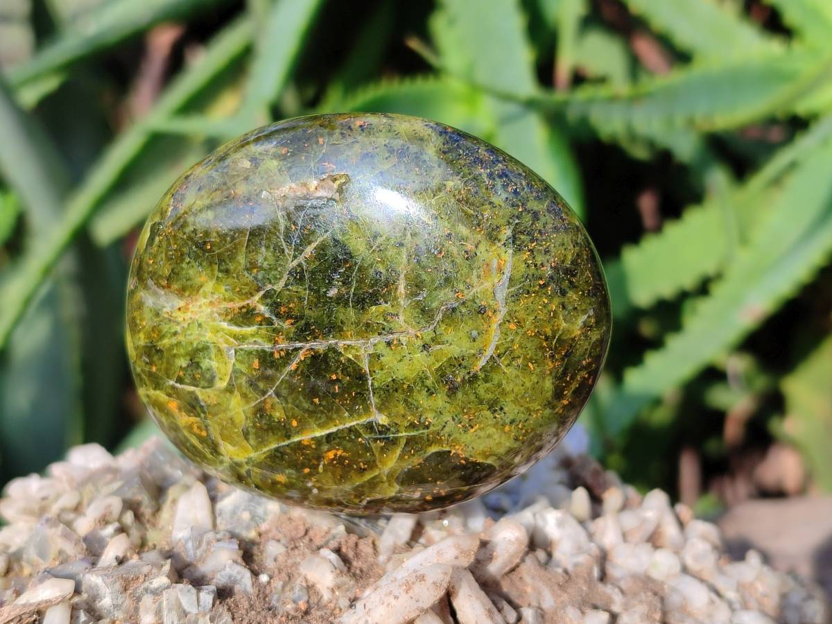 Polished Green Opal Palm Stones x 6 From Madagascar - Toprock Gemstones and Minerals 