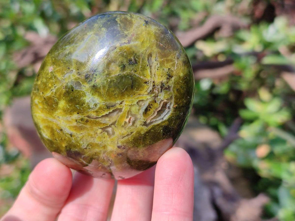 Polished Green Opal Palm Stones x 6 From Madagascar - Toprock Gemstones and Minerals 