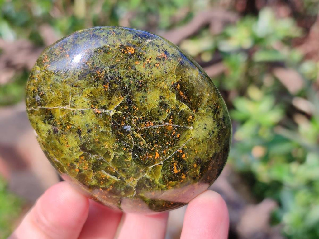 Polished Green Opal Palm Stones x 6 From Madagascar - Toprock Gemstones and Minerals 