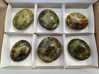 Polished Green Opal Palm Stones x 6 From Madagascar - Toprock Gemstones and Minerals 