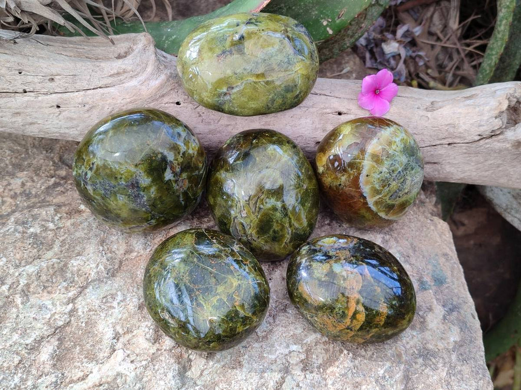 Polished Green Opal Palm Stones x 6 From Madagascar - Toprock Gemstones and Minerals 