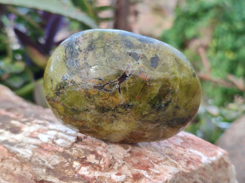 Polished Green Opal Palm Stones x 6 From Madagascar - Toprock Gemstones and Minerals 