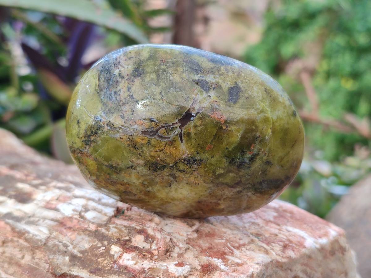 Polished Green Opal Palm Stones x 6 From Madagascar - Toprock Gemstones and Minerals 