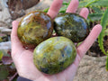 Polished Green Opal Palm Stones x 6 From Madagascar - Toprock Gemstones and Minerals 
