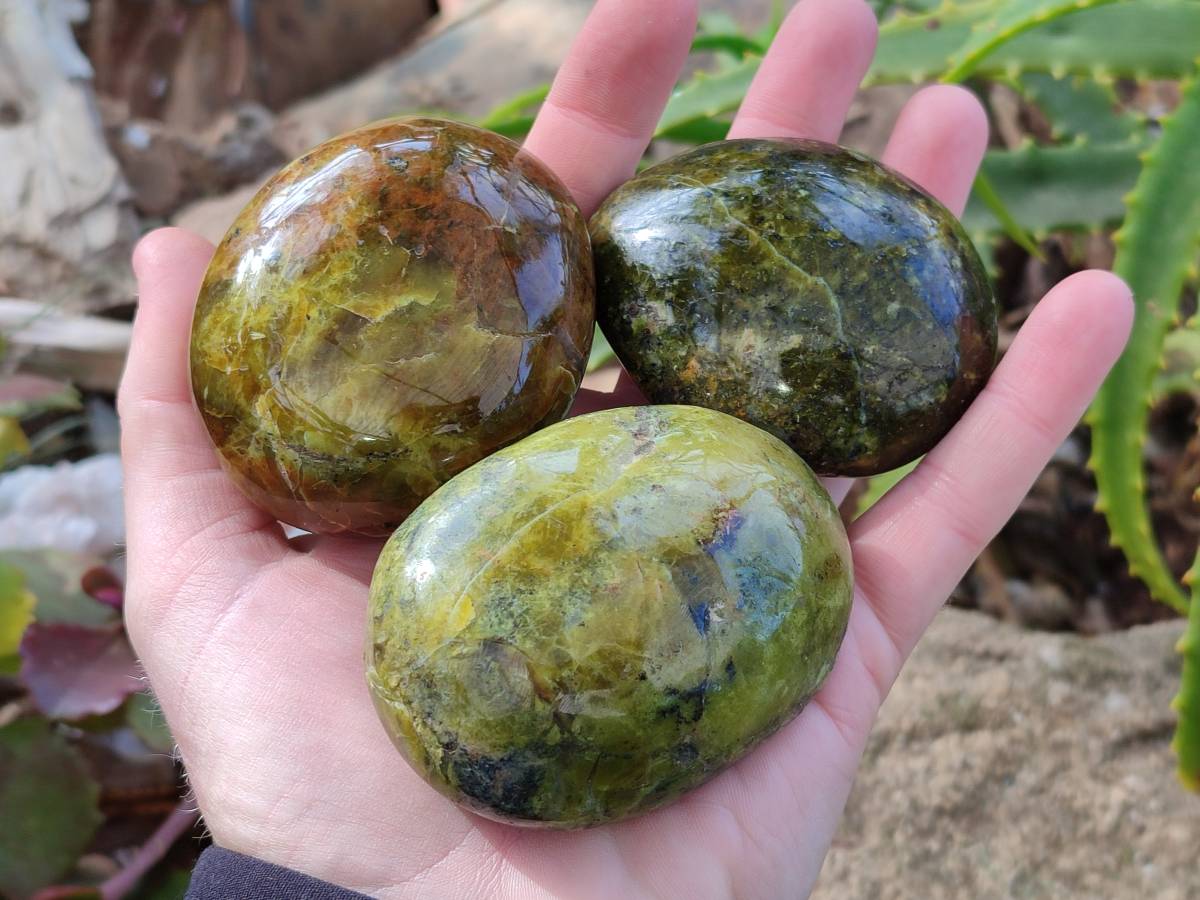 Polished Green Opal Palm Stones x 6 From Madagascar - Toprock Gemstones and Minerals 