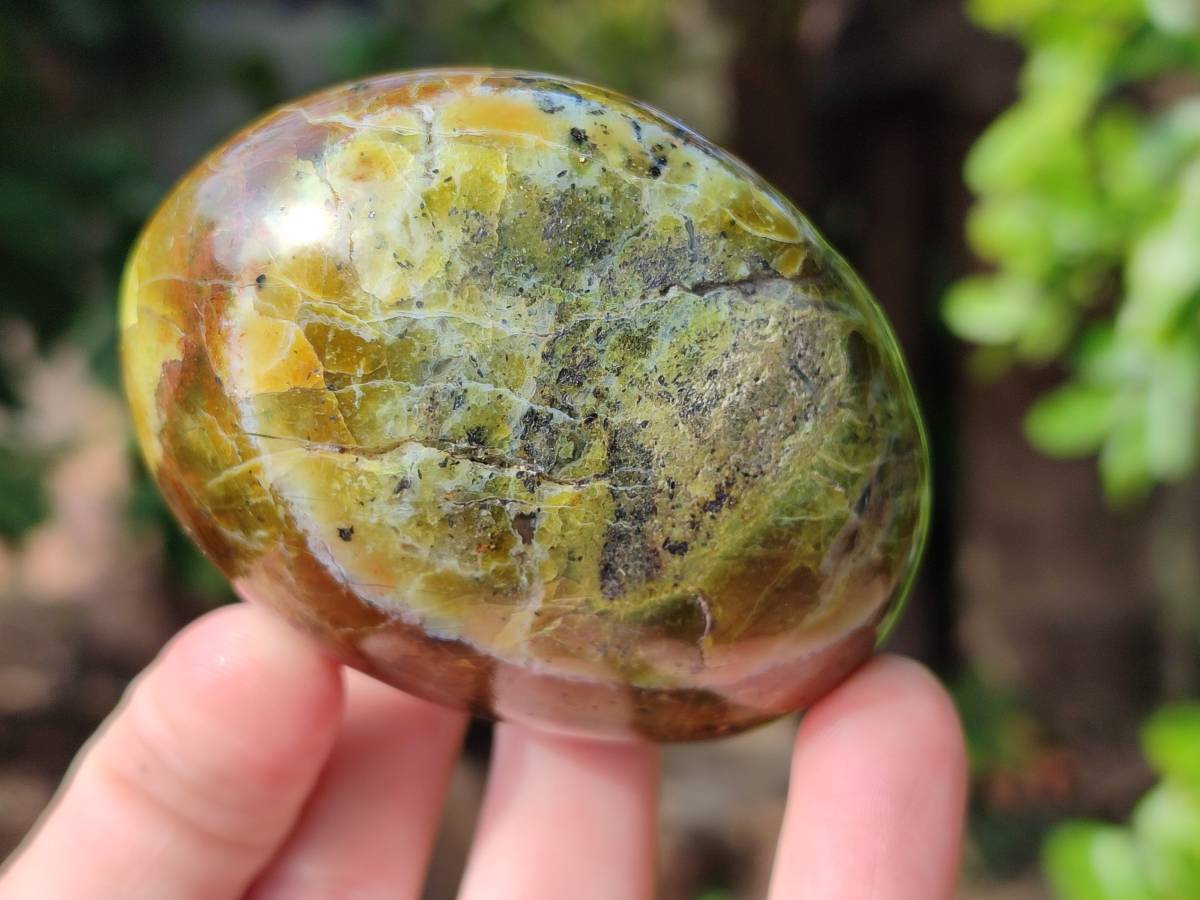 Polished Green Opal Palm Stones x 6 From Madagascar - Toprock Gemstones and Minerals 