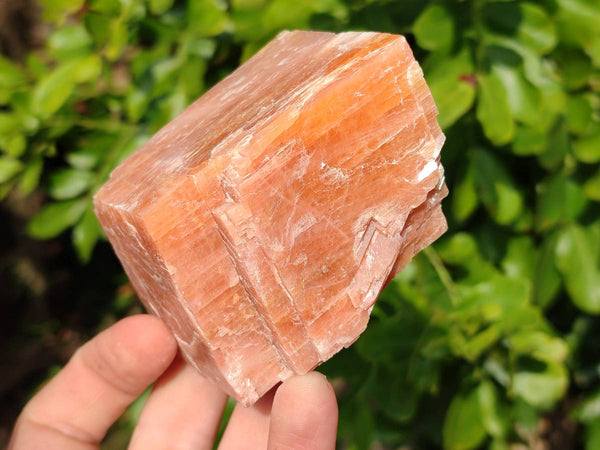 Natural Sunset Orange Calcite Specimens x 6 From Spitzkop, Namibia - Toprock Gemstones and Minerals 