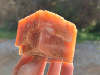 Natural Sunset Orange Calcite Specimens x 6 From Spitzkop, Namibia - Toprock Gemstones and Minerals 