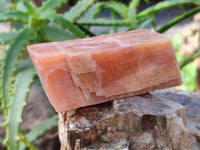 Natural Sunset Orange Calcite Specimens x 6 From Spitzkop, Namibia - Toprock Gemstones and Minerals 