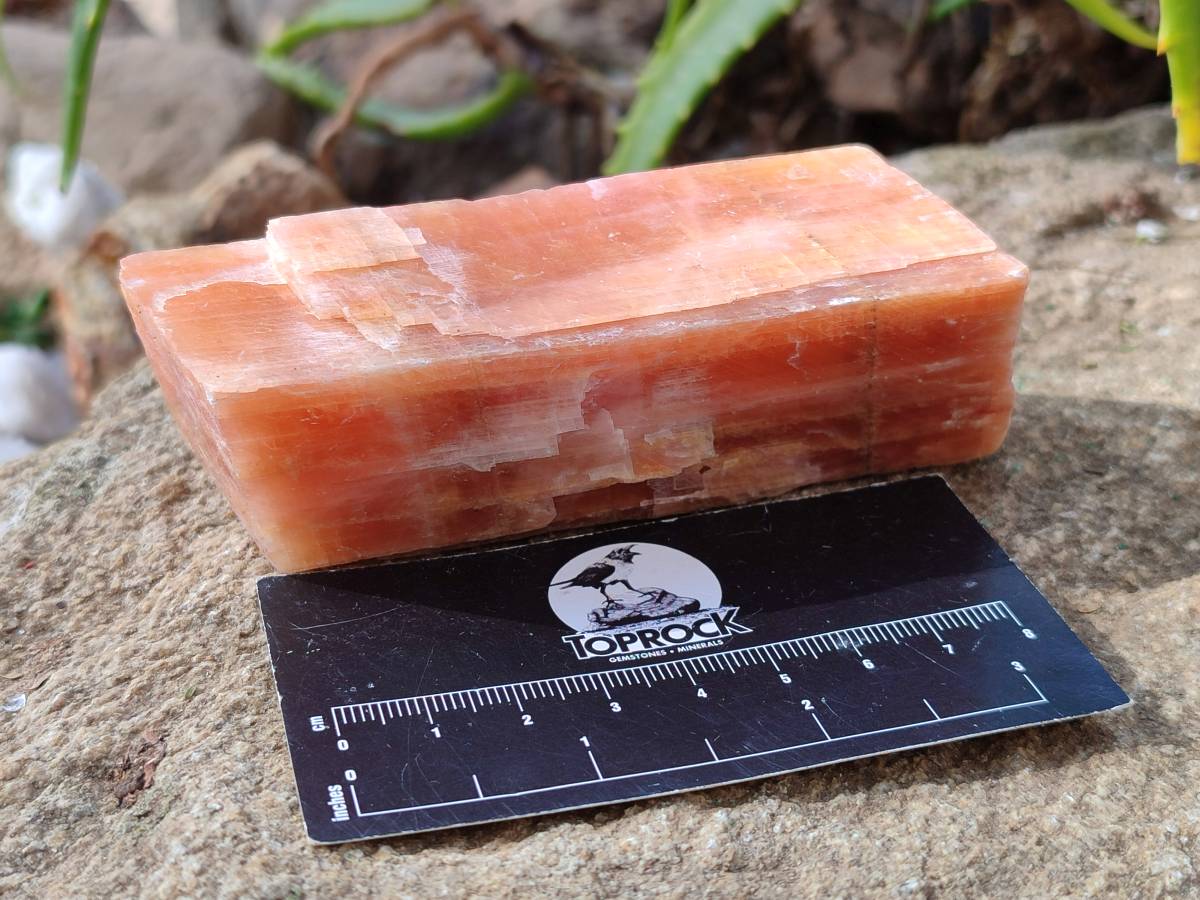 Natural Sunset Orange Calcite Specimens x 6 From Spitzkop, Namibia - Toprock Gemstones and Minerals 