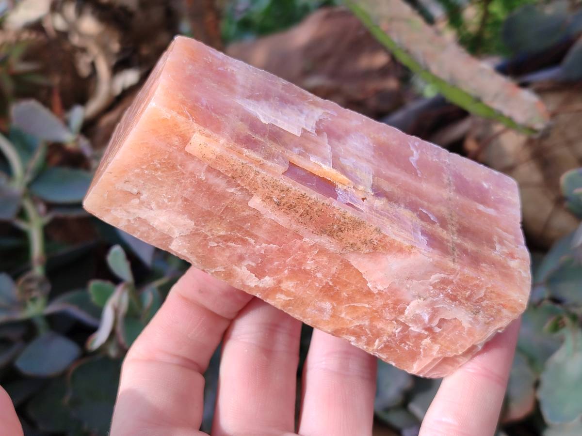 Natural Sunset Orange Calcite Specimens x 6 From Spitzkop, Namibia - Toprock Gemstones and Minerals 
