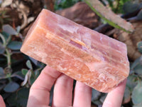 Natural Sunset Orange Calcite Specimens x 6 From Spitzkop, Namibia - Toprock Gemstones and Minerals 