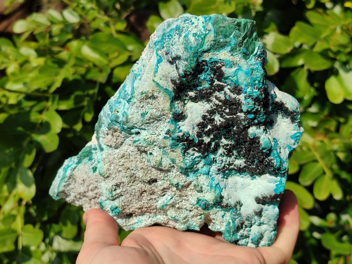 Natural Botryoidal Malacolla Specimen x 1 From Kulukuluku, Congo - Toprock Gemstones and Minerals 