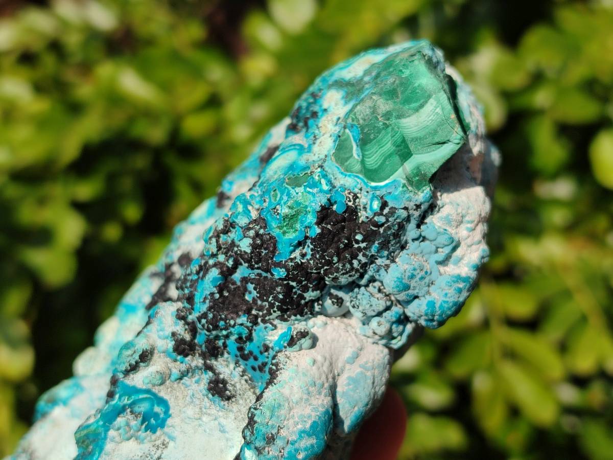 Natural Botryoidal Malacolla Specimen x 1 From Kulukuluku, Congo - Toprock Gemstones and Minerals 