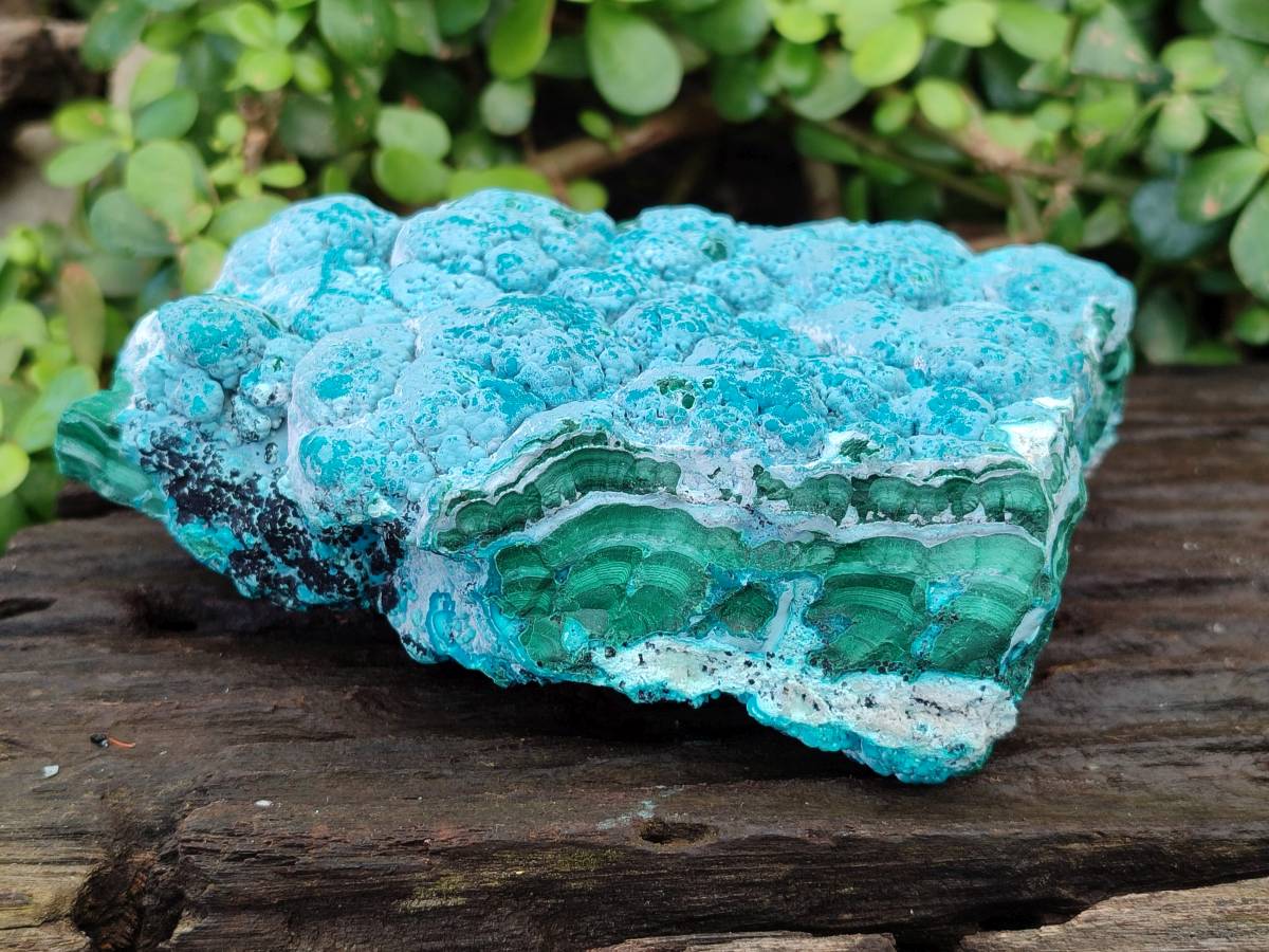 Natural Botryoidal Malacolla Specimen x 1 From Kulukuluku, Congo - Toprock Gemstones and Minerals 