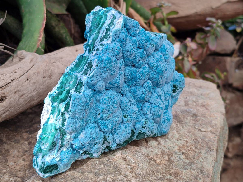 Natural Botryoidal Malacolla Specimen x 1 From Kulukuluku, Congo - Toprock Gemstones and Minerals 