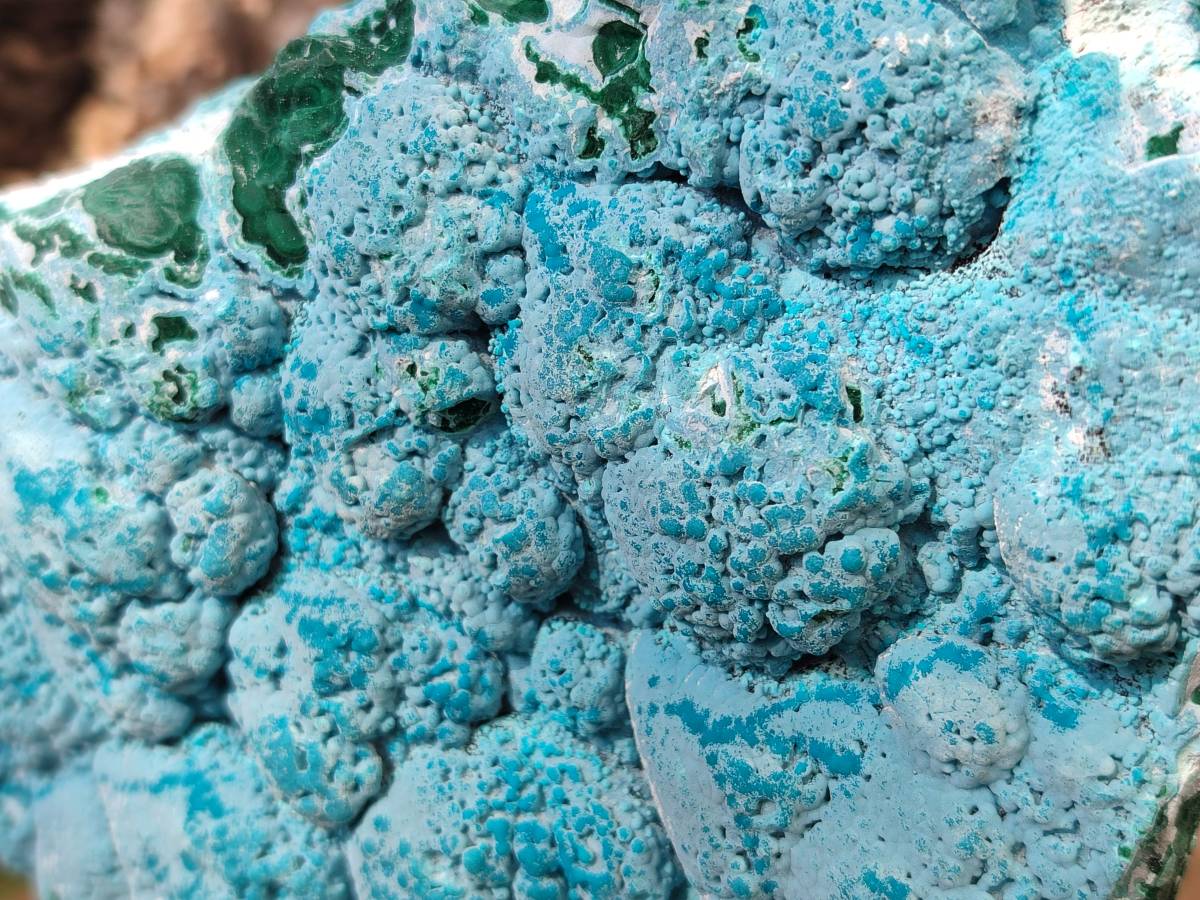 Natural Botryoidal Malacolla Specimen x 1 From Kulukuluku, Congo - Toprock Gemstones and Minerals 