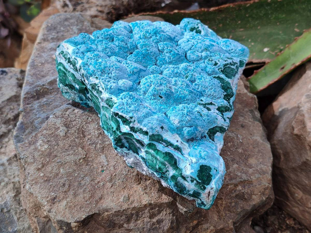 Natural Botryoidal Malacolla Specimen x 1 From Kulukuluku, Congo - Toprock Gemstones and Minerals 