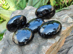 Polished Black Tourmaline Palm Stones x 6 From Madagascar - Toprock Gemstones and Minerals 