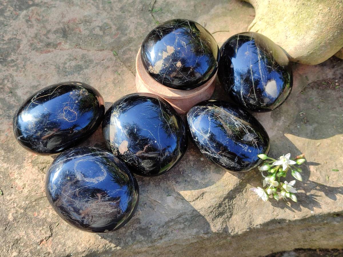 Polished Black Tourmaline Palm Stones x 6 From Madagascar - Toprock Gemstones and Minerals 
