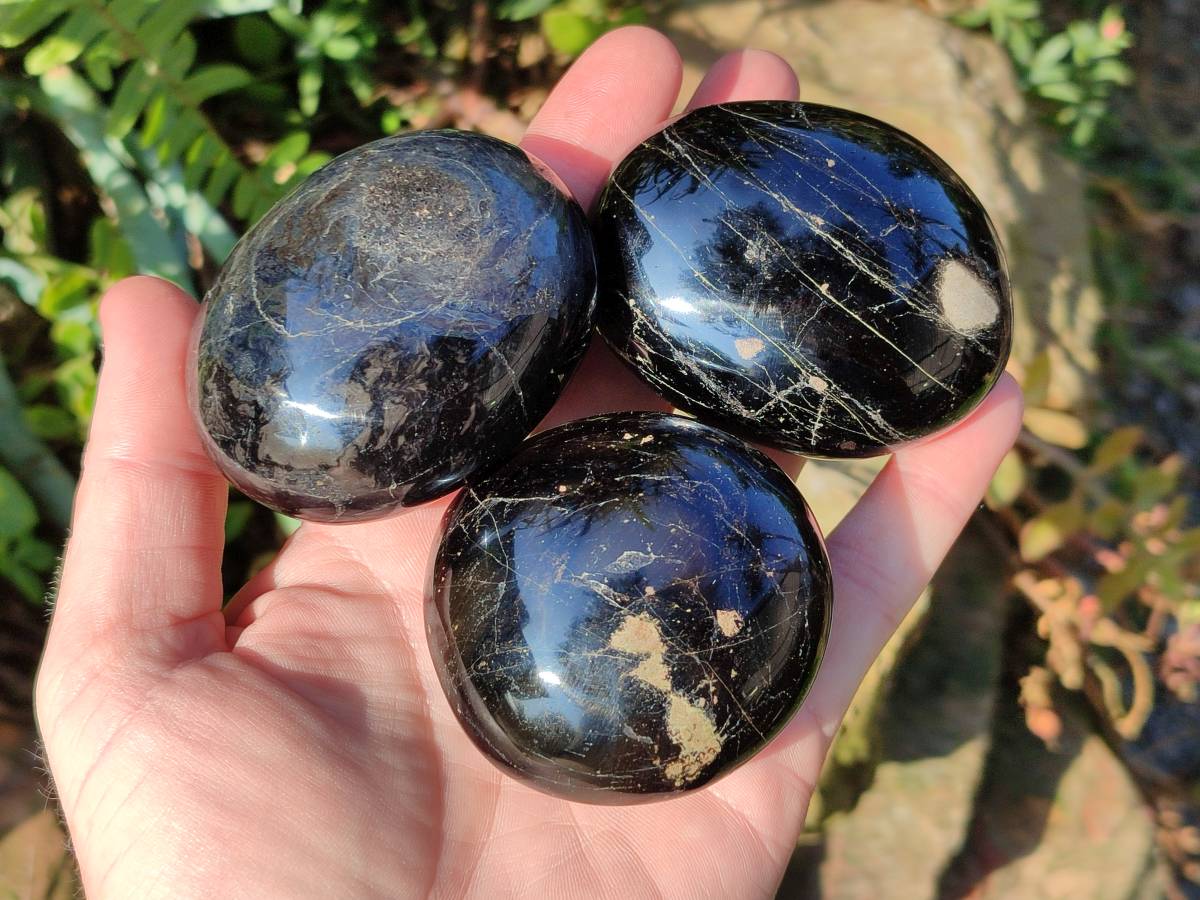 Polished Black Tourmaline Palm Stones x 6 From Madagascar - Toprock Gemstones and Minerals 