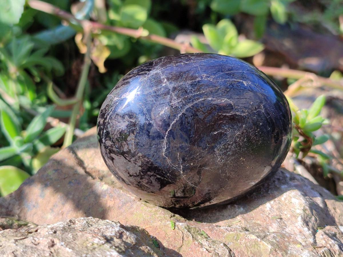 Polished Black Tourmaline Palm Stones x 6 From Madagascar - Toprock Gemstones and Minerals 