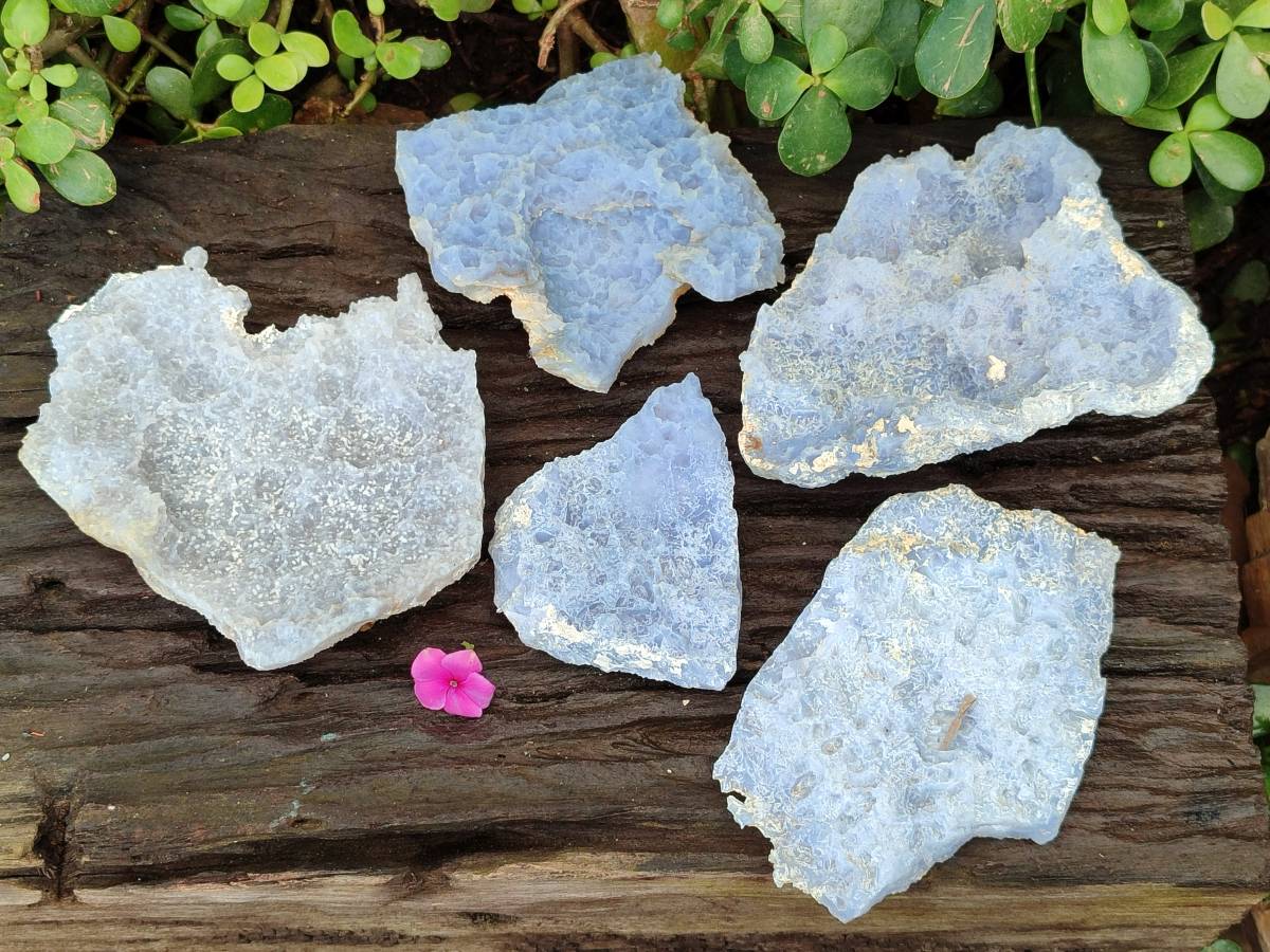 Natural Etched Blue Chalcedony Specimens x 5 From Nsanje, Malawi - Toprock Gemstones and Minerals 