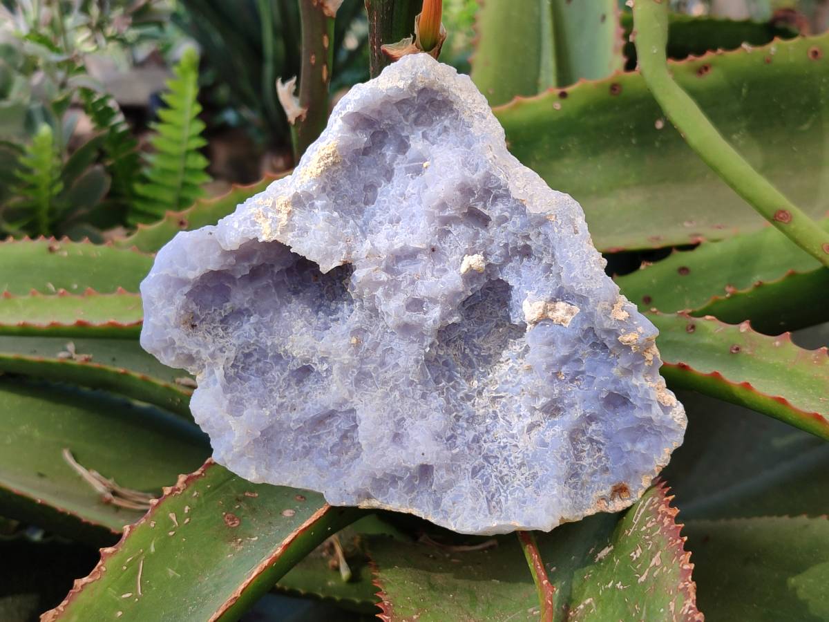 Natural Etched Blue Chalcedony Specimens x 5 From Nsanje, Malawi - Toprock Gemstones and Minerals 