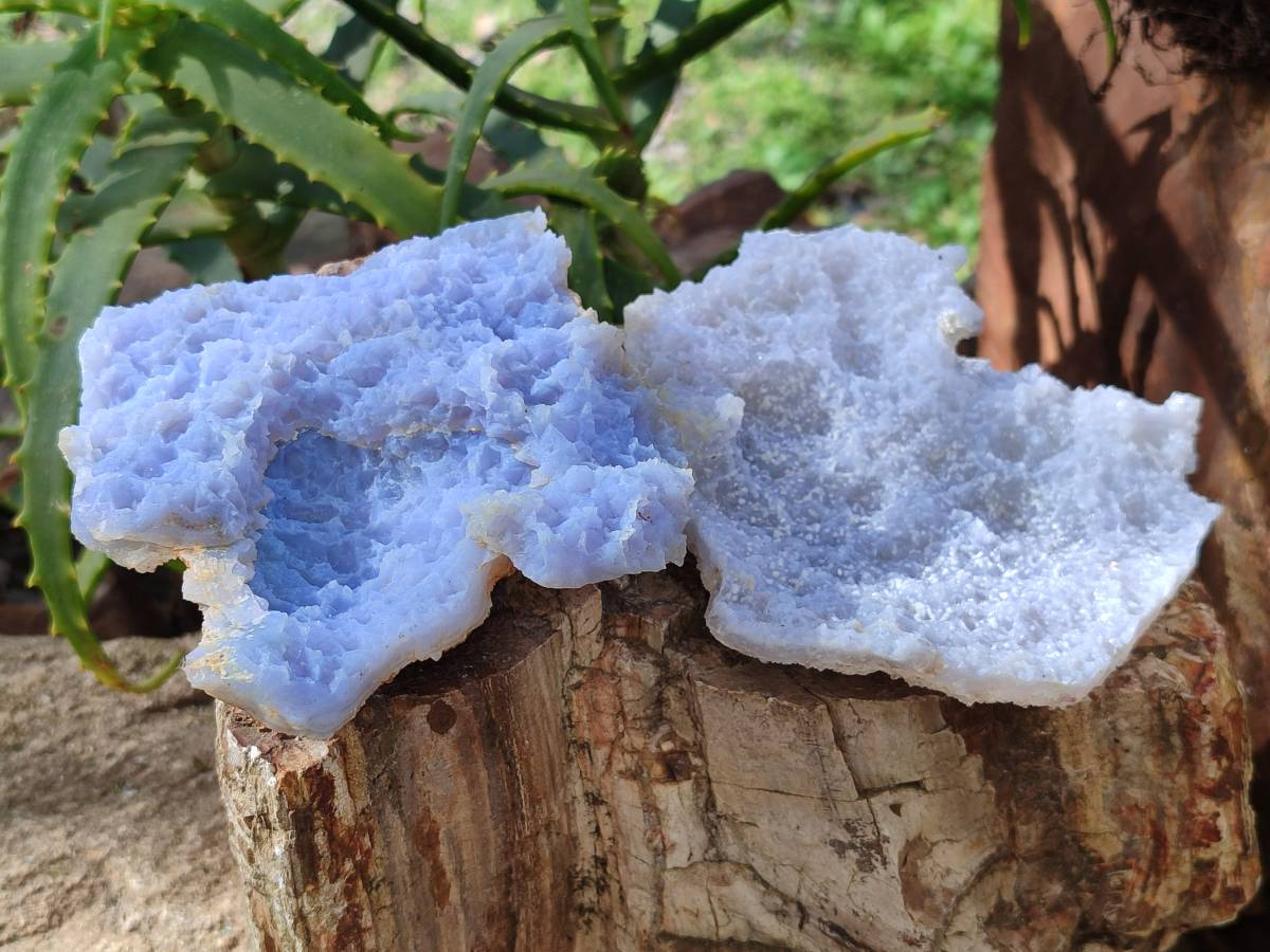 Natural Etched Blue Chalcedony Specimens x 5 From Nsanje, Malawi - Toprock Gemstones and Minerals 
