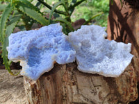 Natural Etched Blue Chalcedony Specimens x 5 From Nsanje, Malawi - Toprock Gemstones and Minerals 