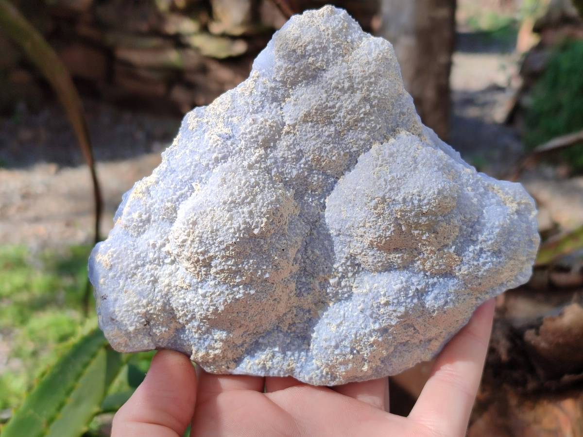 Natural Etched Blue Chalcedony Specimens x 5 From Nsanje, Malawi - Toprock Gemstones and Minerals 