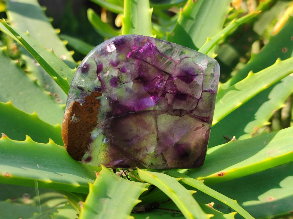 Polished Watermelon Fluorite Free Forms x 12 From Uis, Namibia - Toprock Gemstones and Minerals 