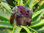 Polished Watermelon Fluorite Free Forms x 12 From Uis, Namibia - Toprock Gemstones and Minerals 