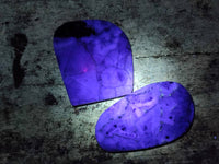 Polished Watermelon Fluorite Free Forms x 12 From Uis, Namibia - Toprock Gemstones and Minerals 