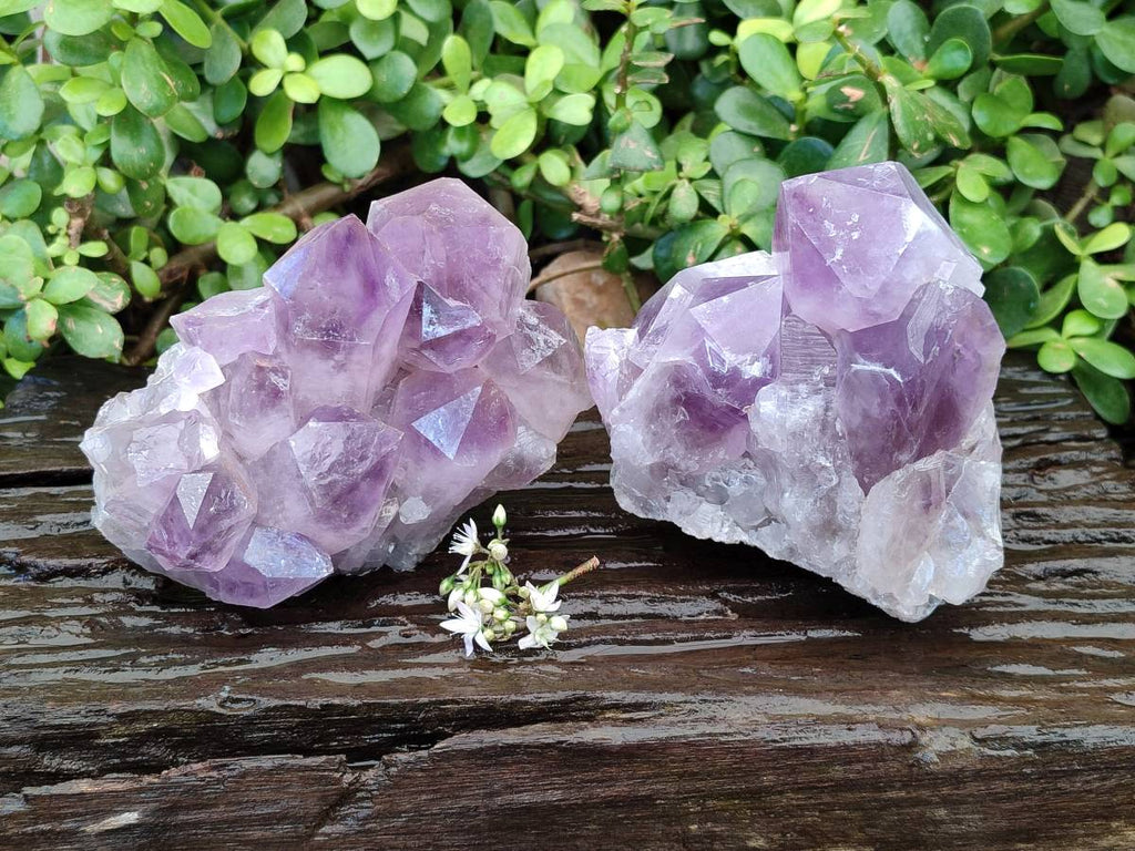 Natural Jacaranda Amethyst Quartz Clusters x 2 From Mumbwa, Zambia - Toprock Gemstones and Minerals 